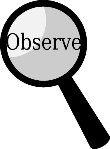 observe